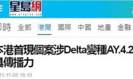 港媒爆料模板大全最新消息,揭秘娱乐圈惊天大事件！