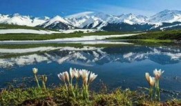 新疆旅游最新爆料,秘境探险，风情万种，尽享丝路风情