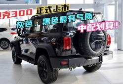 坦克300柴油最新爆料,性能与油耗双提升，硬派越野新标杆