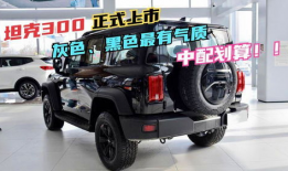 坦克300柴油最新爆料,性能与油耗双提升，硬派越野新标杆