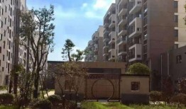 小鲁班最新爆料视频网页,揭秘视频网页背后的精彩内容