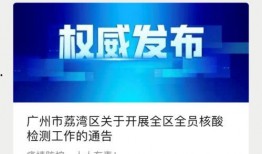 惠州新闻爆料网最新消息,最新动态，惠州热点事件追踪！