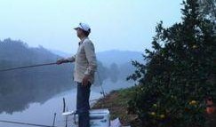 东莞野钓最新爆料,揭秘最新钓点与技巧分享