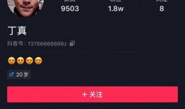 沈毅微博爆料视频最新消息,揭秘事件真相与幕后黑手