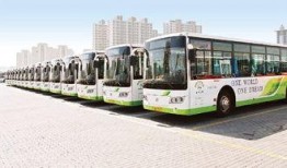 青岛公交车爆料新闻最新消息,乘客安全事件引发社会关注