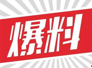 每日材料爆料最新,今日娱乐圈最新爆料，明星动态大起底！