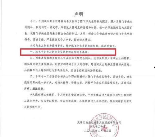 陈飞爆料视频大全最新,揭秘娱乐圈不为人知的一面