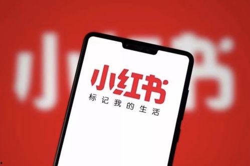 小红书爆料官方入口最新,最新玩法与福利一览”