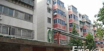 郑州花园路最新爆料信息,繁华街区焕新记