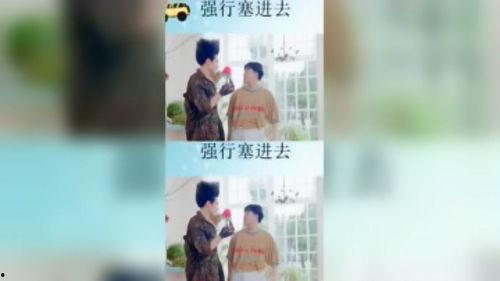 猫之城最新爆料视频,最新爆料视频带你探秘神秘猫界